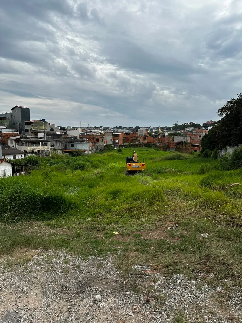Escavadeira da R5 limpando terreno com mato alto